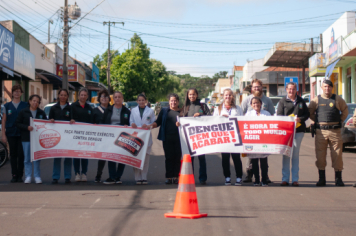 Foto - Blitz Todos contra a Dengue