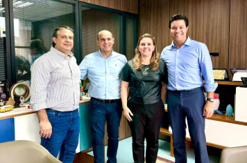 Prefeita e vereadores buscam recursos para o desenvolvimento de nossa cidade